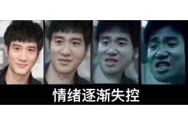 信用贷款催收公约制度：构建和谐金融生态的关键