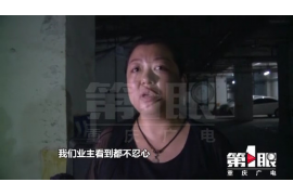 金麦上门催收信息：揭秘高效债务回收策略
